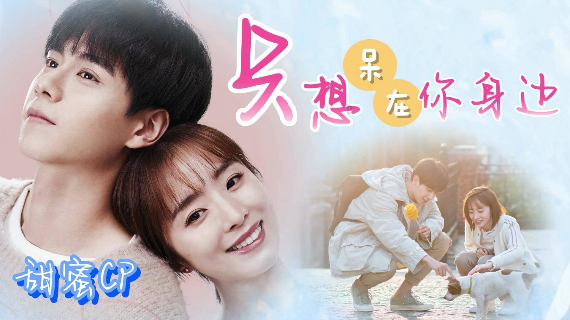 海盗寻宝记选关版